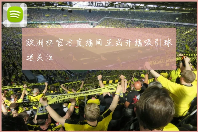 欧洲杯官方直播间正式开播吸引球迷关注