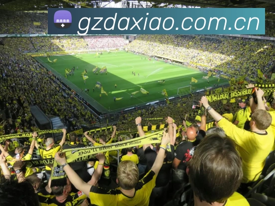 leyu乐鱼手机官网进入APP 封面图